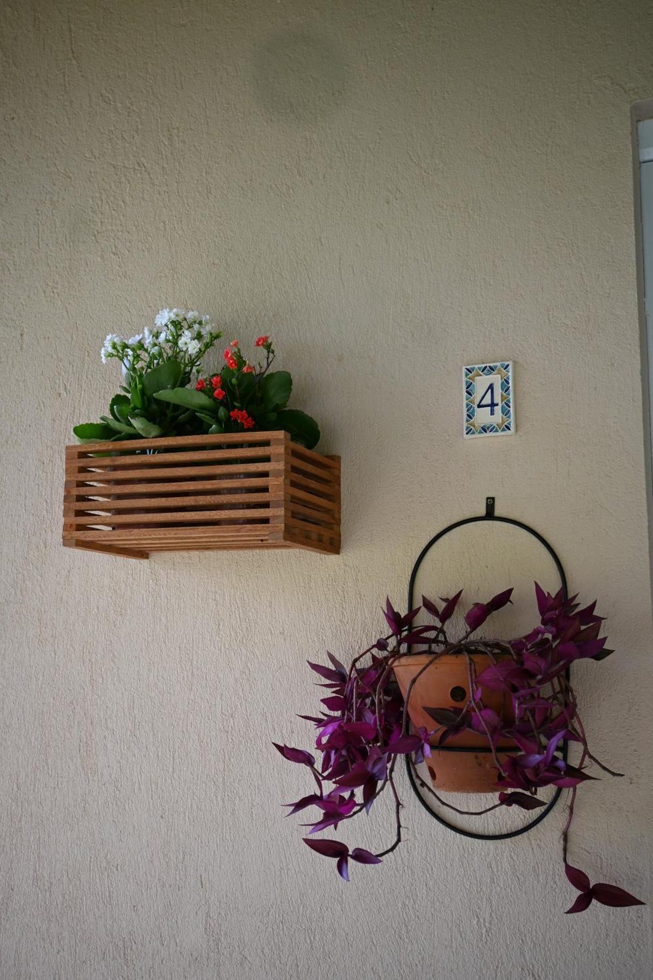Sitio Terra Sana Bed & Breakfast Santa Teresa  Ngoại thất bức ảnh